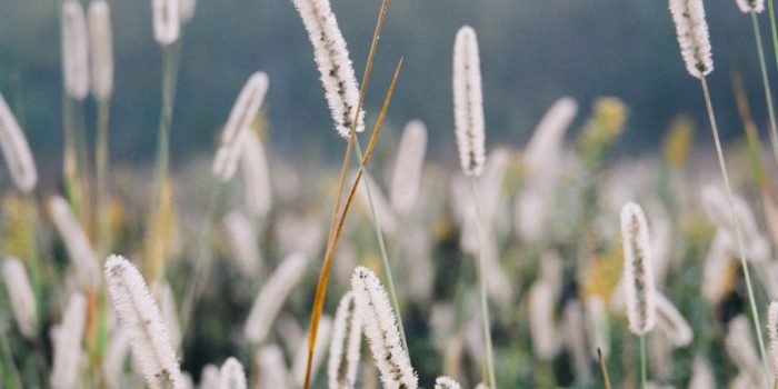 Pour une spiritualité écologique