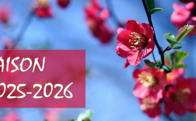 Saison 2025-2026