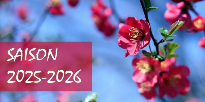 Saison 2025-2026